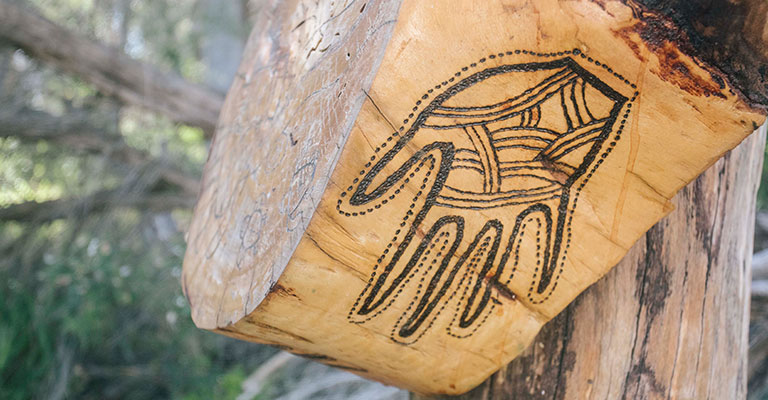 Carvings made by Gary's relatives at the Yarra Bay Trail