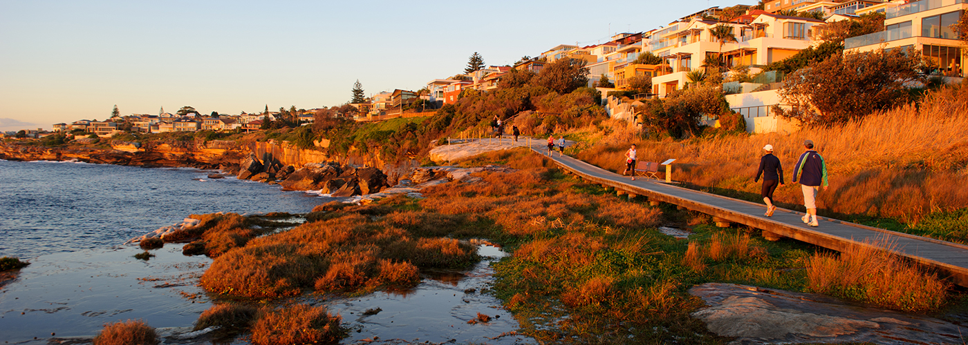 The Environmental Levy funds projects such as extensions to the Coastal Walkway.