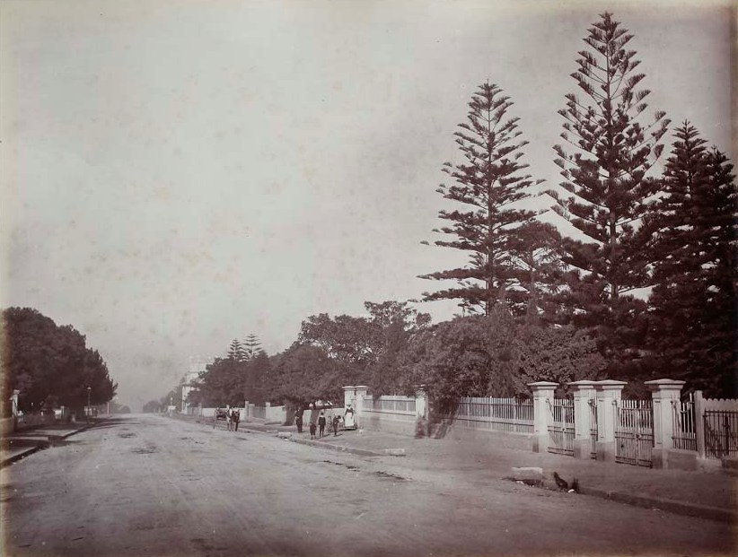 Avoca Street, 1880s