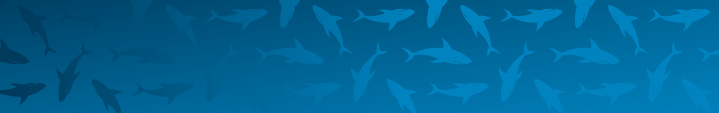 Shark banner