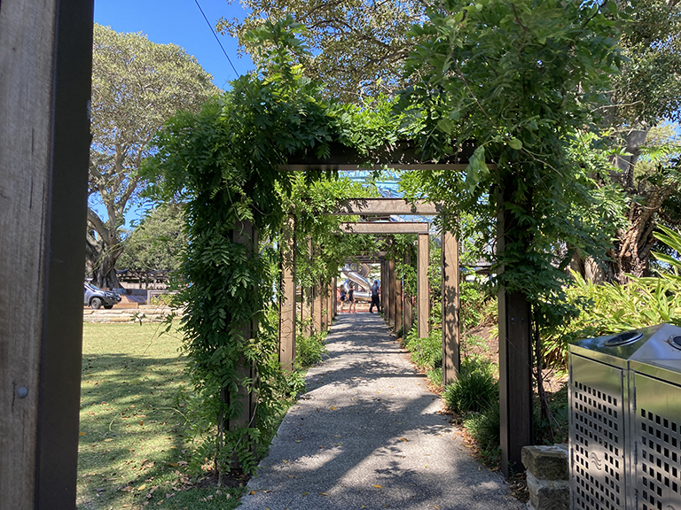 Wisteria arbour