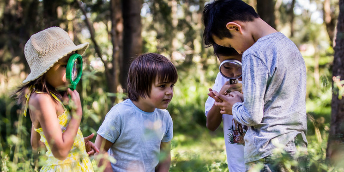 Park Science: Incredible Insects