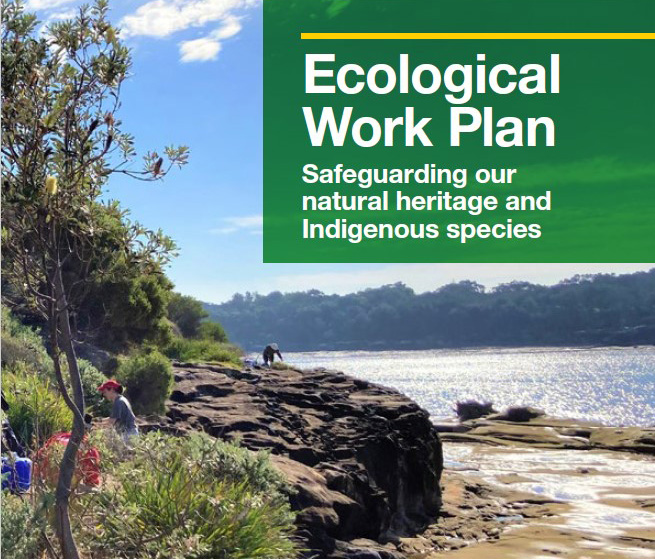 The Ecological Work Plan provides indepth information on how we protect and promote bushland in Randwick