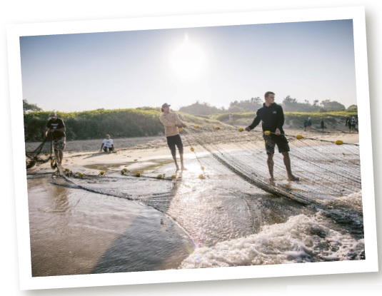 Photo of people pulling on a net on the water's edge