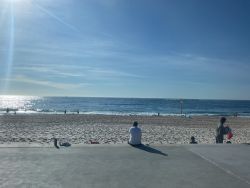 Coogee Beach