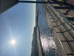 Clovelly Beach