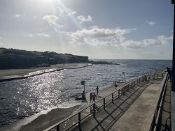 Clovelly Beach