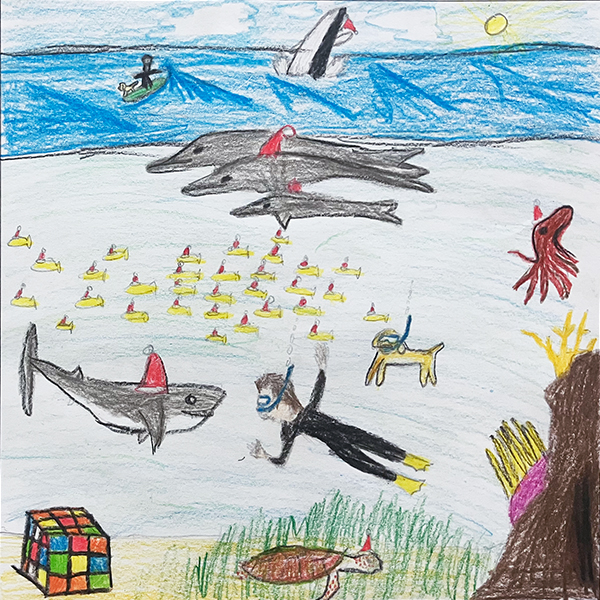 Finlay's illustration Finlay's illustration