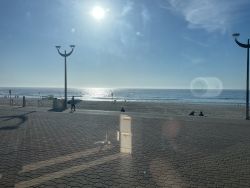 Maroubra Beach