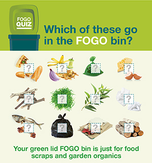 Download the FOGO Quiz to test your knowledge!