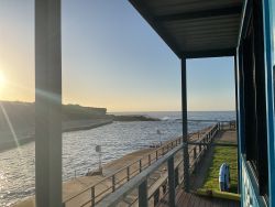 Clovelly Beach