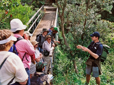 A bush walk tour of Botany Bay National Park in La Perouse