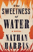 Sweetness of water book cover