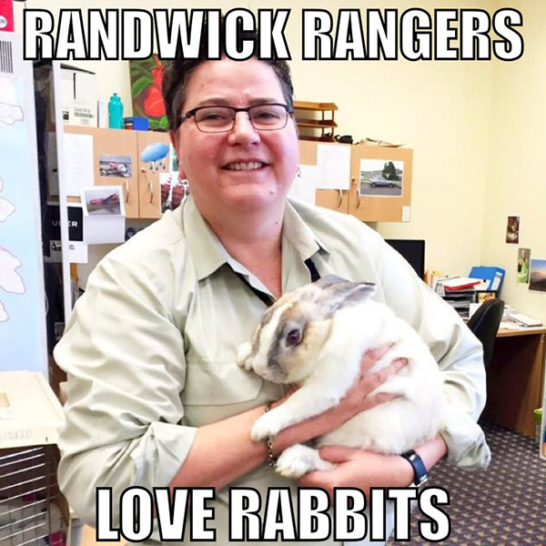 A ranger holding a rabbit