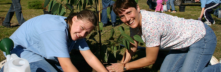 Tree planting at Randwick Sustainability Hub