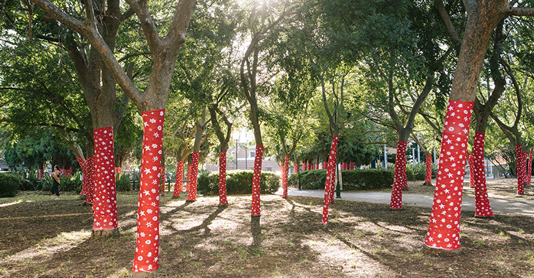 Play amongst the wrapped trees at Alison Park.