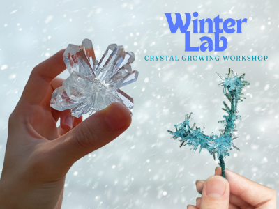 Kids' School Holiday Event: Winter Lab - Crystal Growing Workshop (school years 3-6)