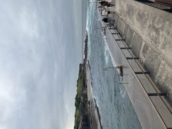 Clovelly Beach