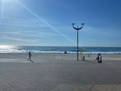Maroubra Beach