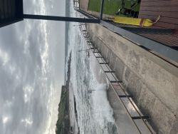 Clovelly Beach
