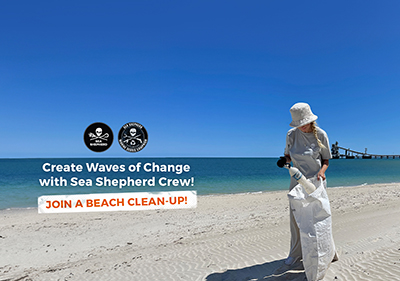 Coogee Beach Clean Up 