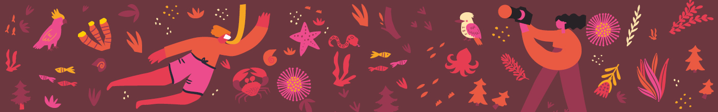 MACDP Autumn 2025_1400x220