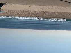 Maroubra Beach