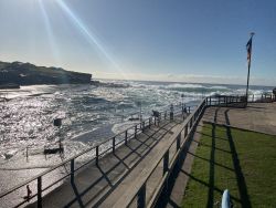 Clovelly Beach